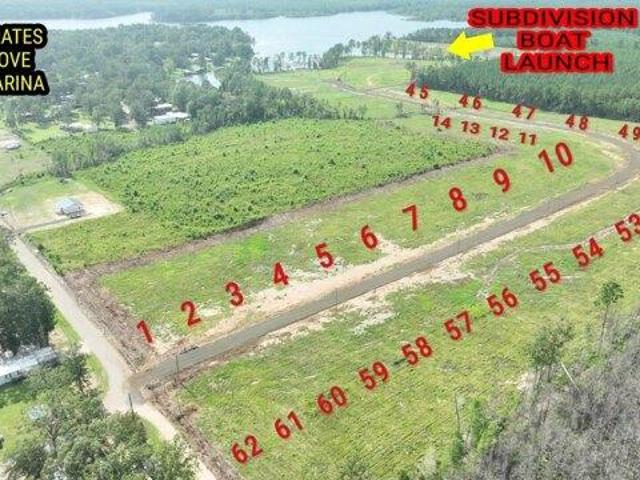 Land for sale in Florien, Louisiana