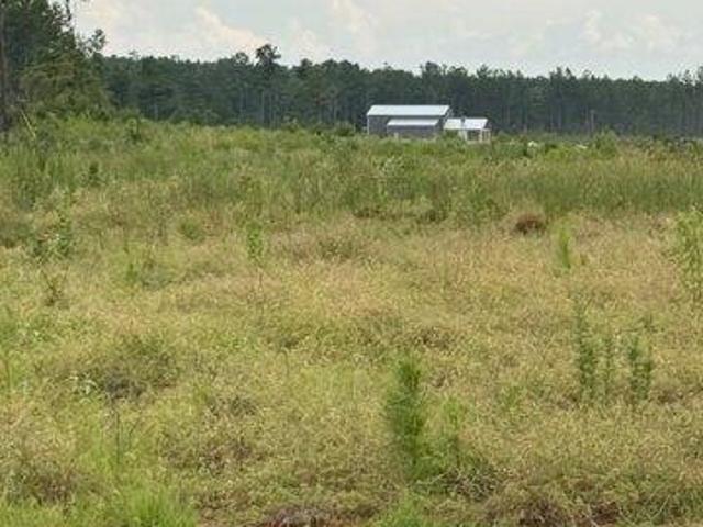 Land for sale in Florien, Louisiana