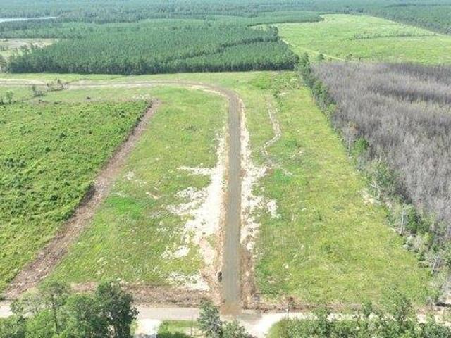 Land for sale in Florien, Louisiana