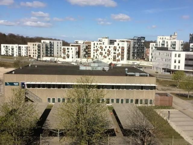 Lejlighed til leje i Odense