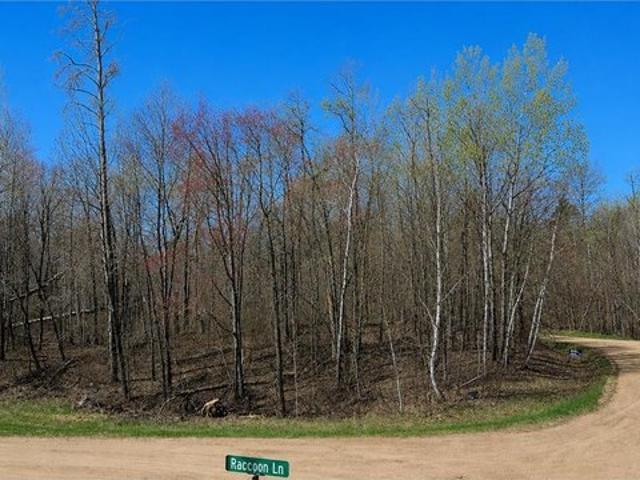 Land for sale in Crosslake, Minnesota
