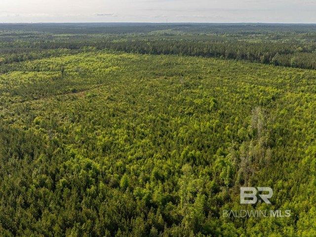 Land for sale in Bay Minette, Alabama