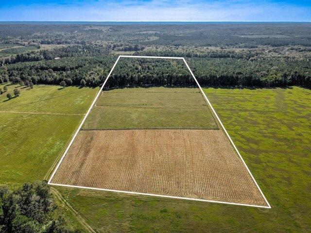 Land for sale in Wagener, South Carolina