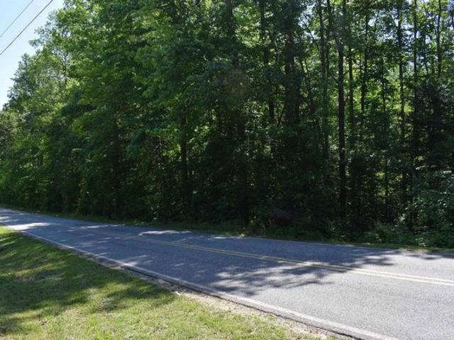 Land for sale in Tryon, North Carolina