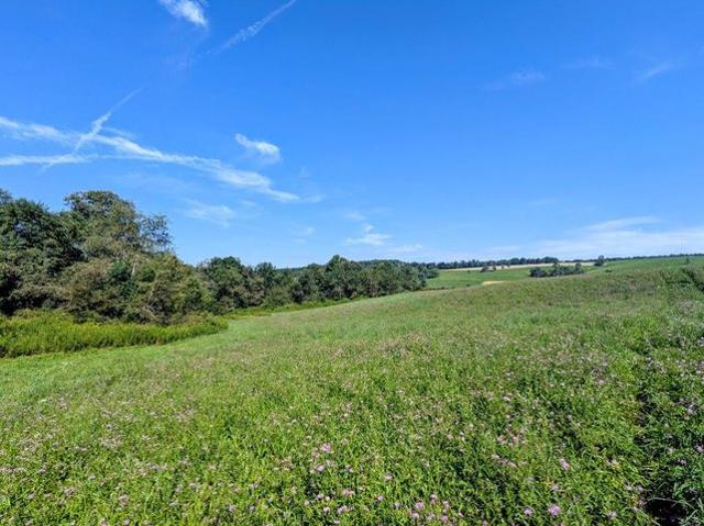 Land for sale in Virginia