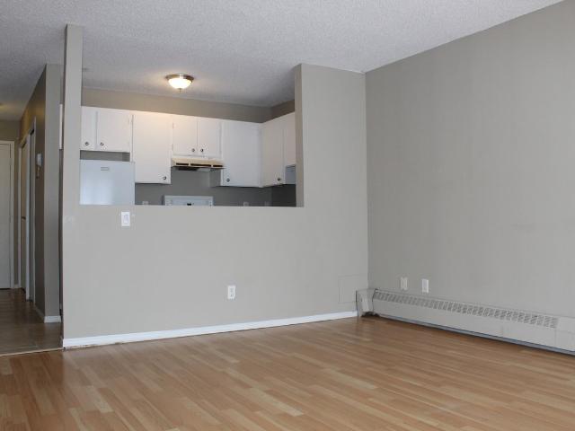 Apartment for rent in Rosedale, Calgary