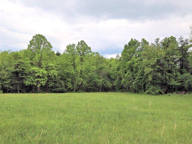 Land for sale in Virginia
