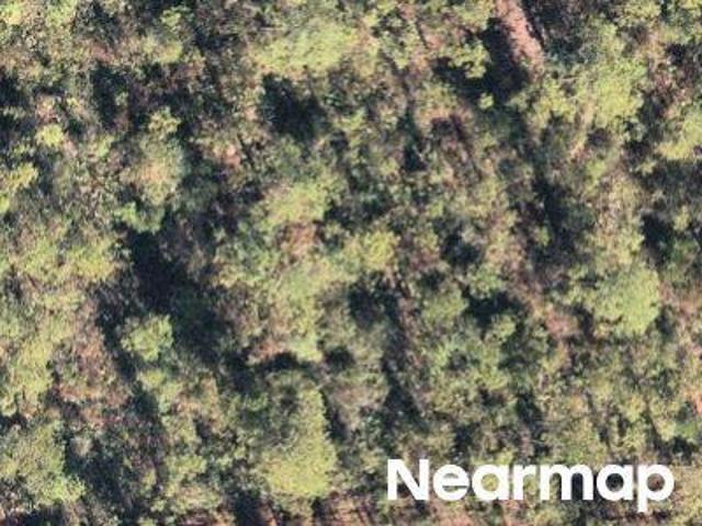 Land for sale in Walton, Florida