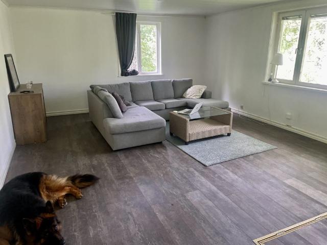 Hus hyra i Västernorrland