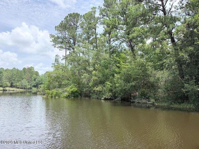 Land for sale in Perkinston, Mississippi