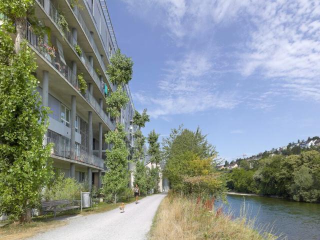 Immobilie kaufen in Einigen, Zürich