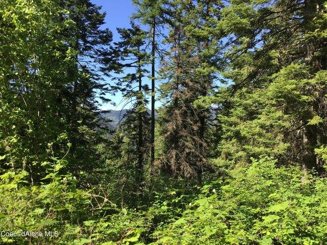 Land for sale in Saint Maries, Idaho