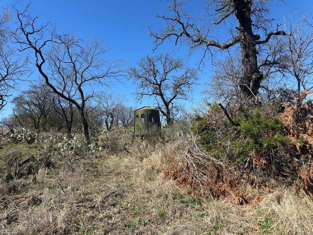 Farm for sale in Mason, Texas