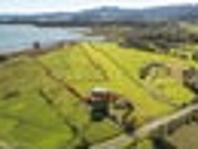 Land for sale in Coromandel, Waikato