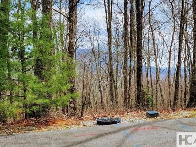 Land for sale in Transylvania, North Carolina