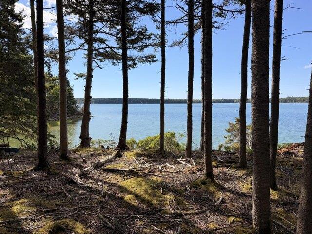 Land for sale in Brooklin, Hancock County