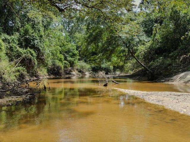 Land for sale in Laurel, Mississippi