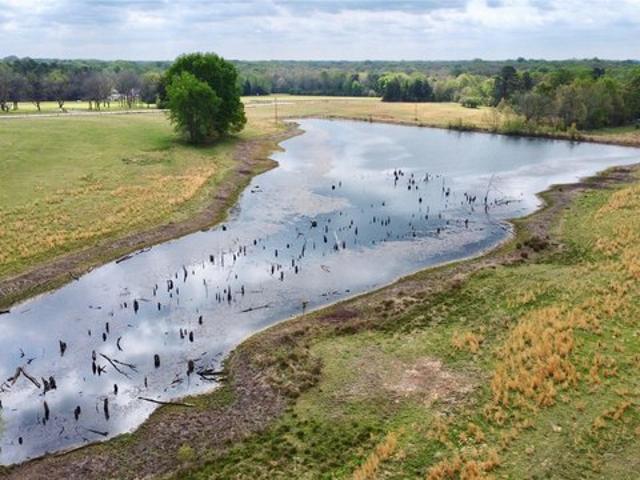 Land for sale in Titus, Texas