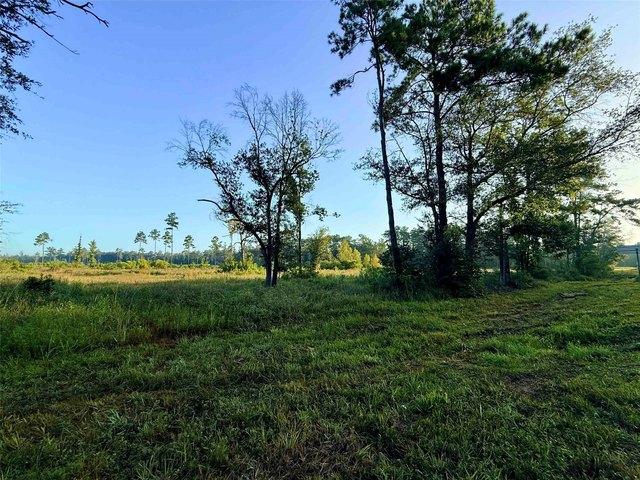 Land for sale in Kountze, Texas