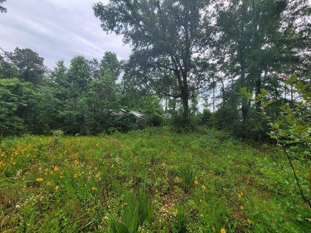 Land for sale in Newton, Texas