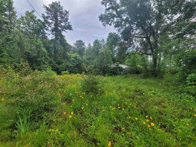 Land for sale in Newton, Texas