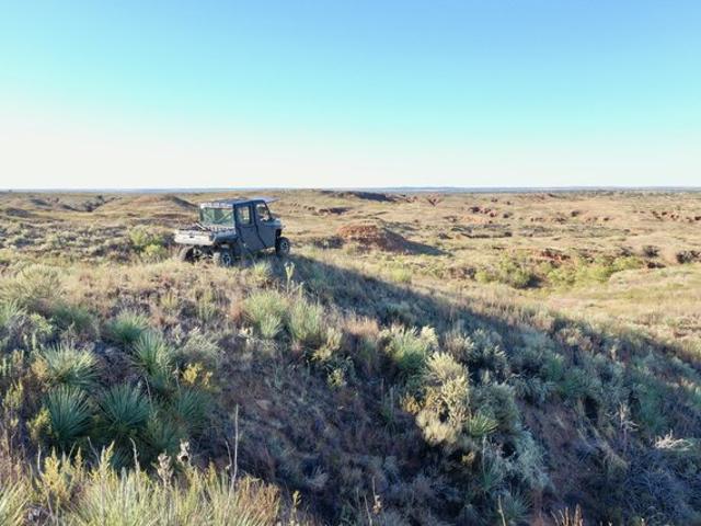 Land for sale in Hall, Texas