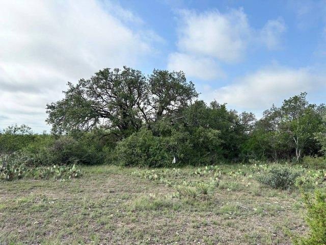 Farm for sale in Brady, Texas