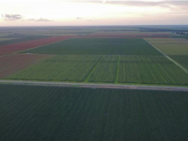 Land for sale in Wharton, Texas