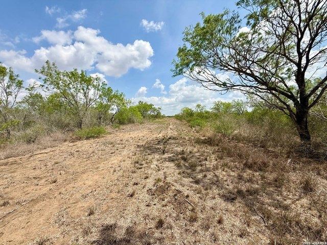 Land for sale in Jourdanton, Texas