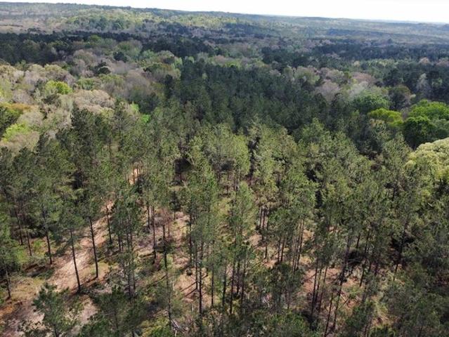 Land for sale in Shelby, Texas