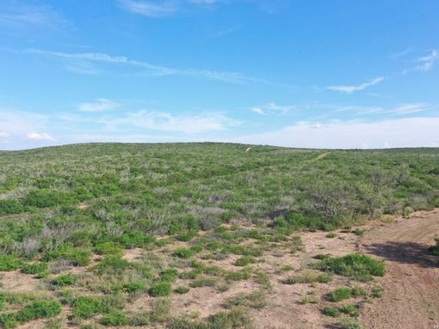 Land for sale in Pearsall, Texas