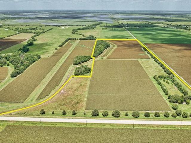 Land for sale in Damon, Texas