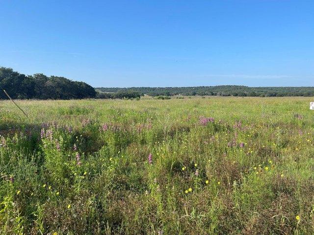 Land for sale in Gatesville, Texas