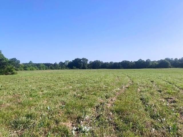 Farm for sale in New Boston, Texas
