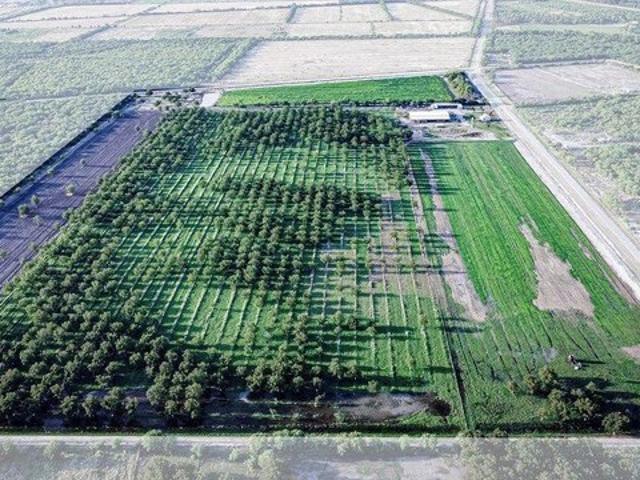 Land for sale in Quemado, Texas