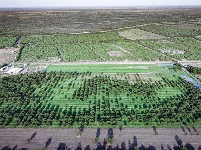 Land for sale in Quemado, Texas
