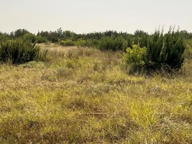Farm for sale in Concho, Texas