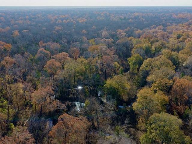 Land for sale in Lamar, Texas