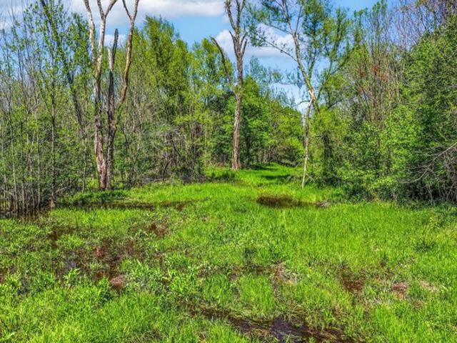 Land for sale in Lamar, Texas