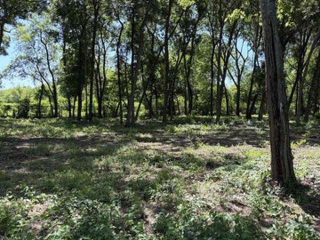 Land for sale in Panola, Texas