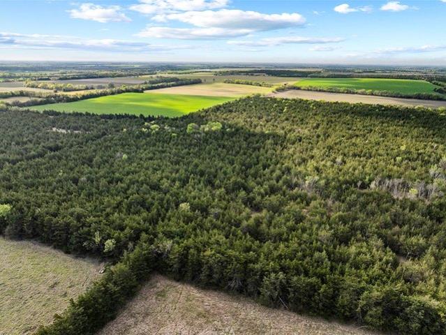 Land for sale in Delta, Texas