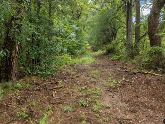 Land for sale in Henderson, Texas
