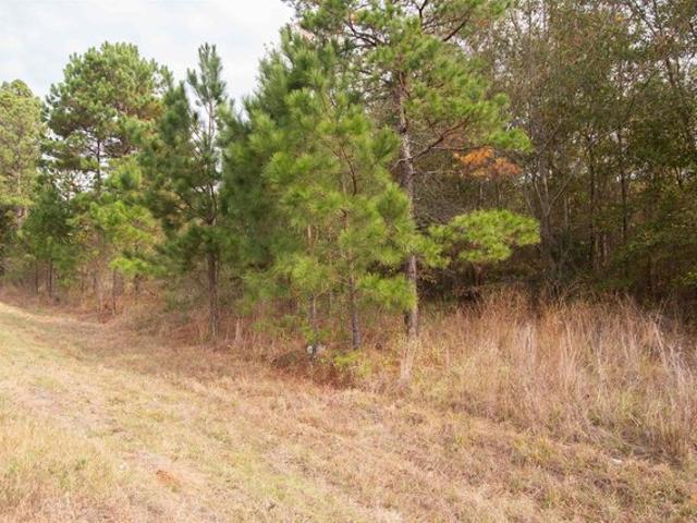 Land for sale in Overton, Texas