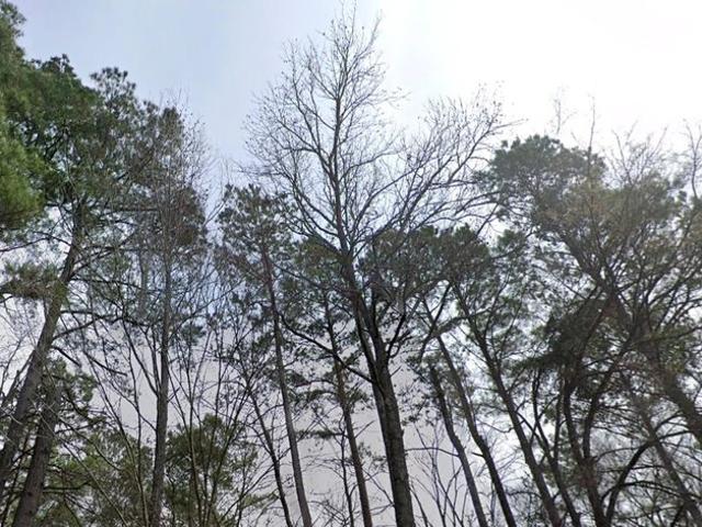 Land for sale in Rusk, Texas
