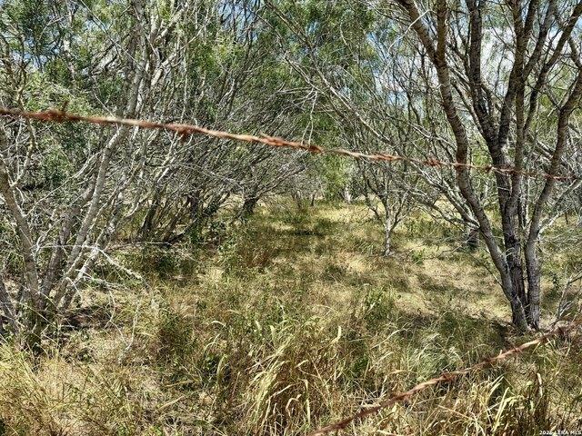Farm for sale in Kenedy, Texas