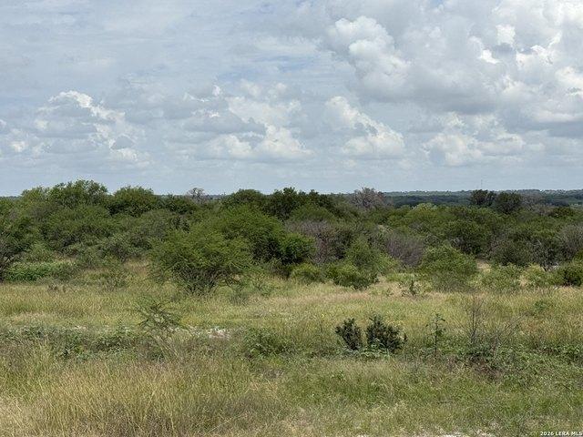 Land for sale in Kenedy, Texas