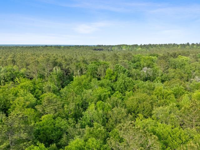 Land for sale in Shepherd, Texas