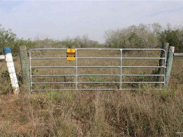 Land for sale in San Isidro, Texas