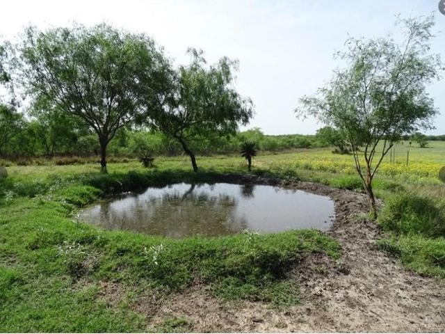 Farm for sale in San Isidro, Texas