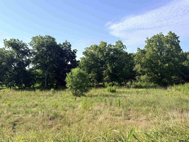 Land for sale in Smith, Texas